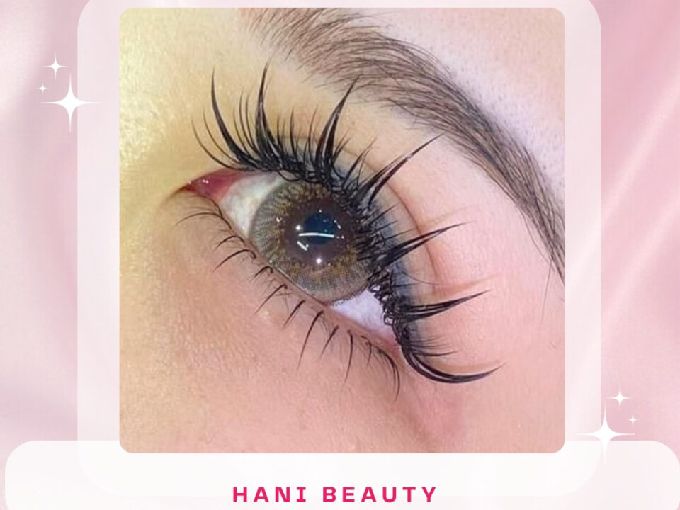 dich vu noi mi Ms Hani 1 3