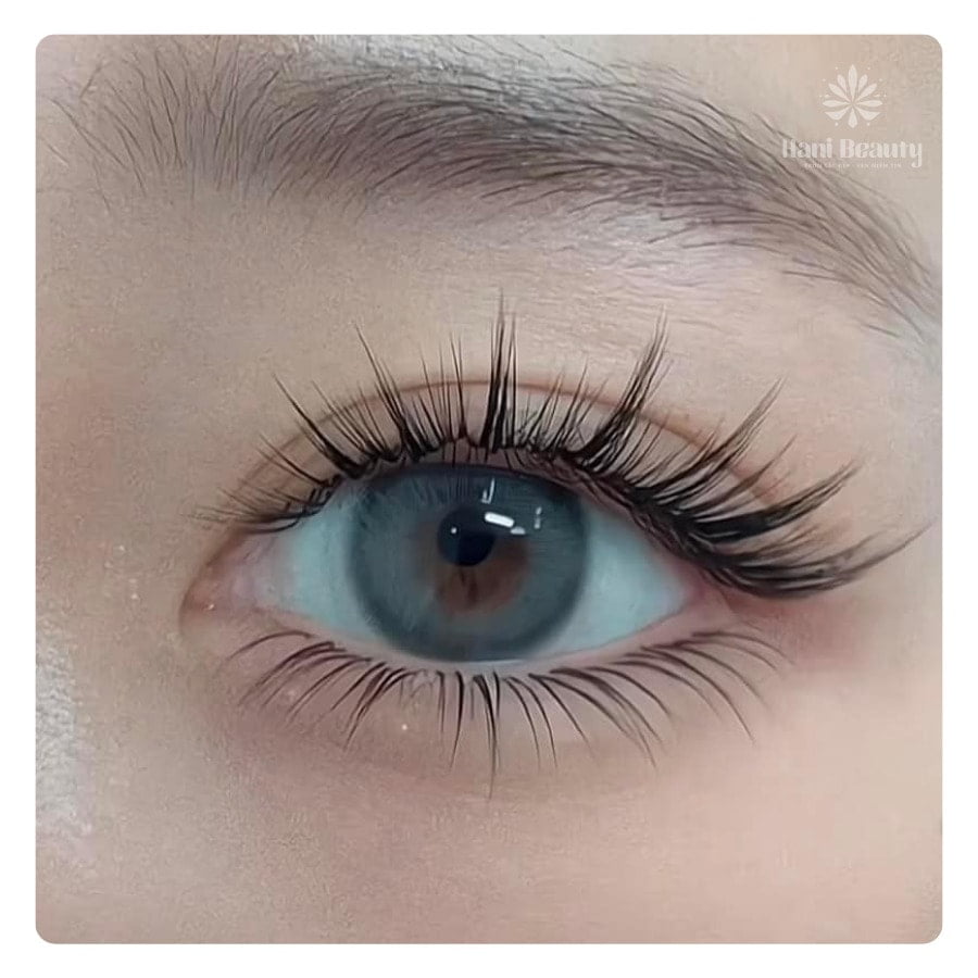 noi mi katun Ms Hani