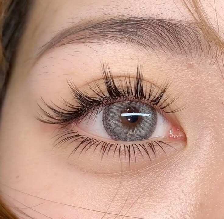 Học Nối Mi Dưới