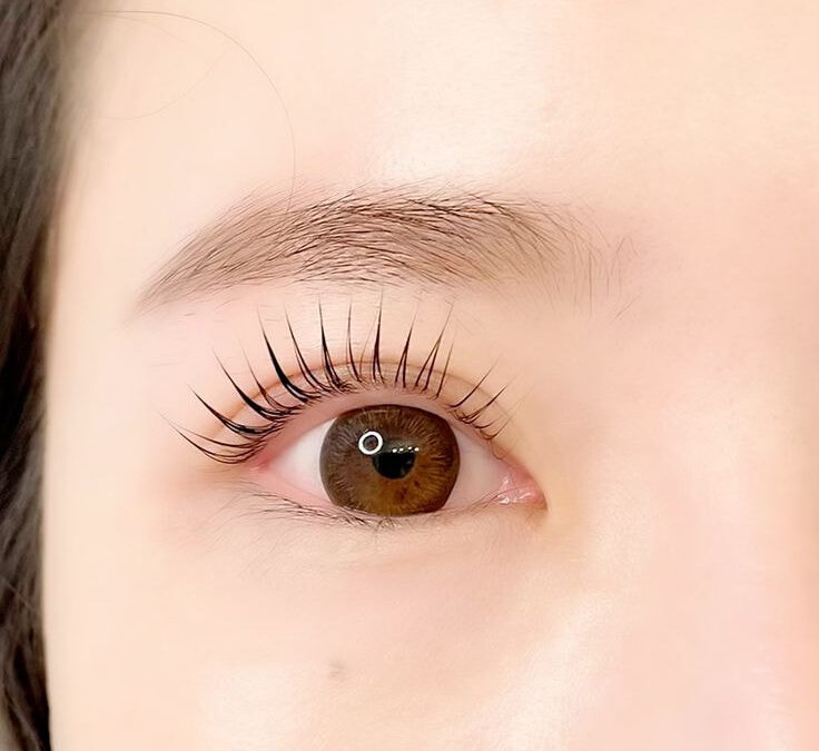 Nối mi dáng mắt tròn