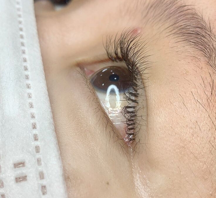 cách giữ mi nối lâu rụng