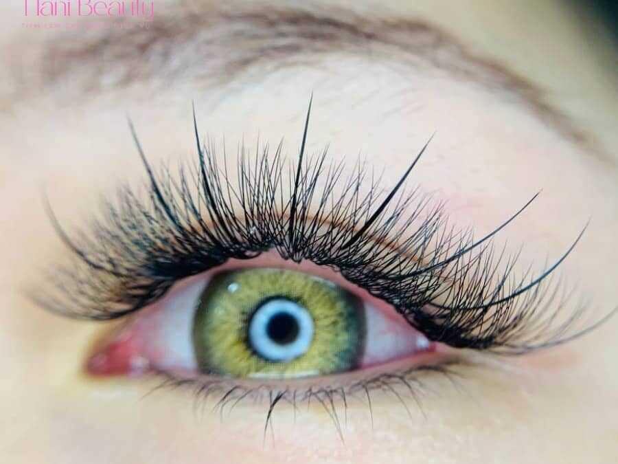 dich vu noi mi volume 3D 1 9 1