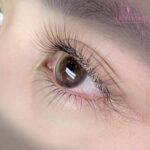 Hot Trend 2025: Dịch Vụ Nối Mi Hàn Quốc Classic Được Yêu Thích Nhất 18 Hot trend 2025: Dịch vụ nối mi Hàn Quốc classic được yêu thích nhất