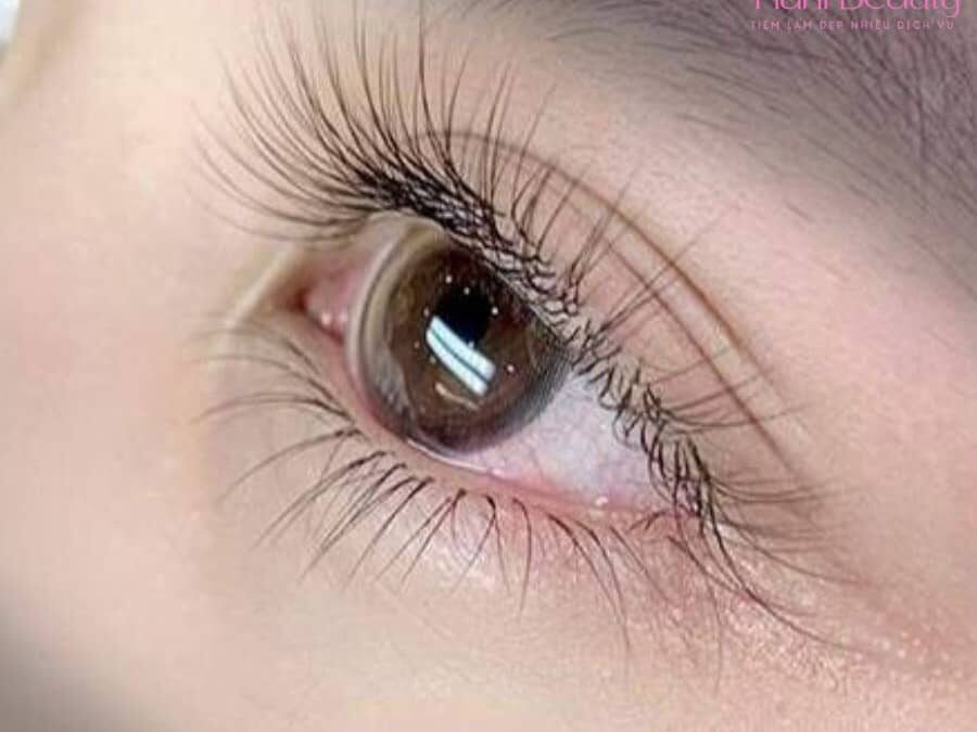 Hot trend 2025: Dịch vụ nối mi Hàn Quốc classic được yêu thích nhất