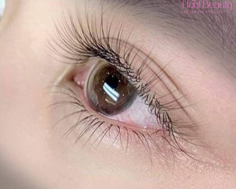 Hot trend 2025: Dịch vụ nối mi Hàn Quốc classic được yêu thích nhất