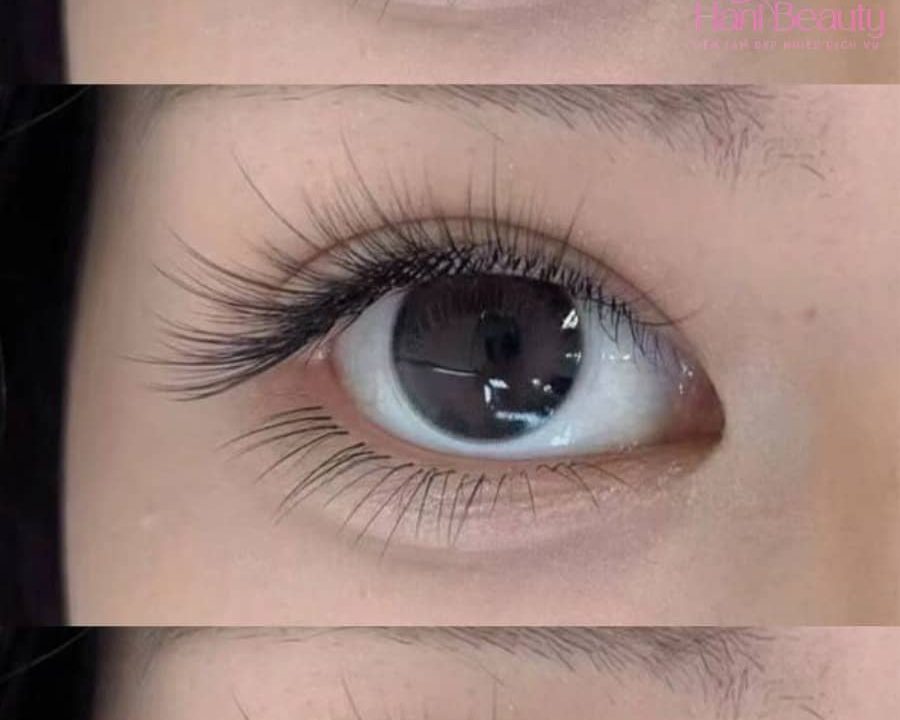 Trải Nghiệm Dịch Vụ Nối Mi Giá Rẻ Cat Eye: An Toàn, Thoải Mái, Bền Đẹp
