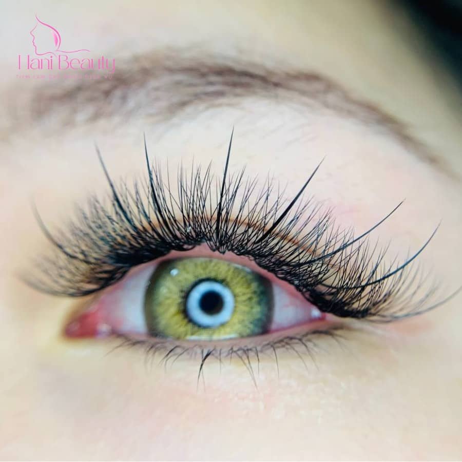 Trải nghiệm dịch vụ nối mi giá rẻ volume ở Hani Beauty 2025: An toàn, tự nhiên, bền đẹp