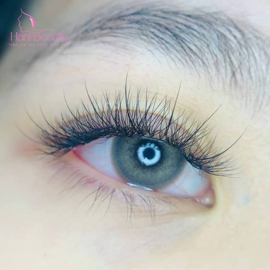 Trải nghiệm dịch vụ nối mi giá rẻ volume ở Hani Beauty 2025: An toàn, tự nhiên, bền đẹp