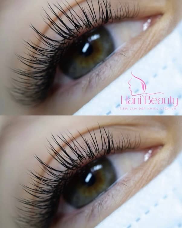 Trải nghiệm dịch vụ nối mi giá rẻ volume ở Hani Beauty 2025: An toàn, tự nhiên, bền đẹp