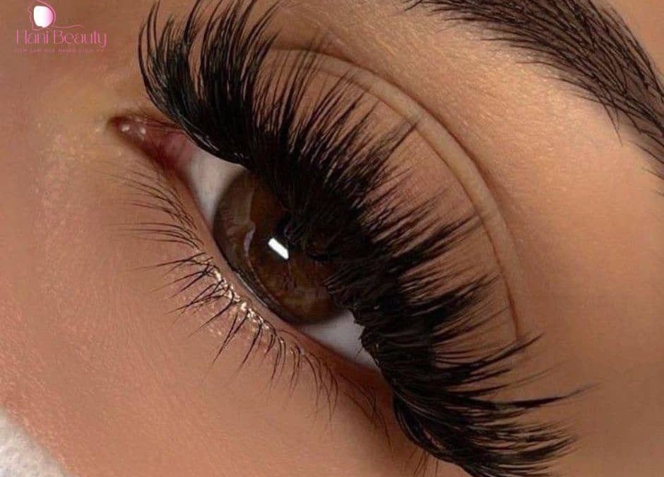 Trải nghiệm dịch vụ nối mi giá rẻ volume ở Hani Beauty 2025: An toàn, tự nhiên, bền đẹp