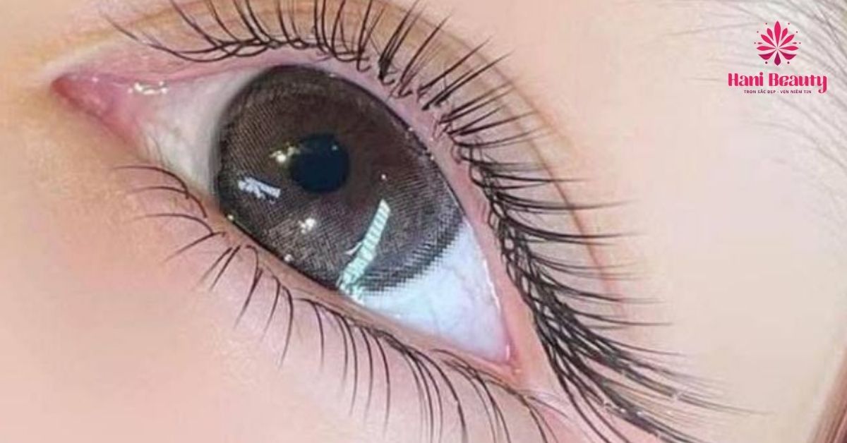 Dịch vụ nối mi cao cấp Classic giúp khuôn mặt trở nên có điểm nhấn và sáng bừng hơn