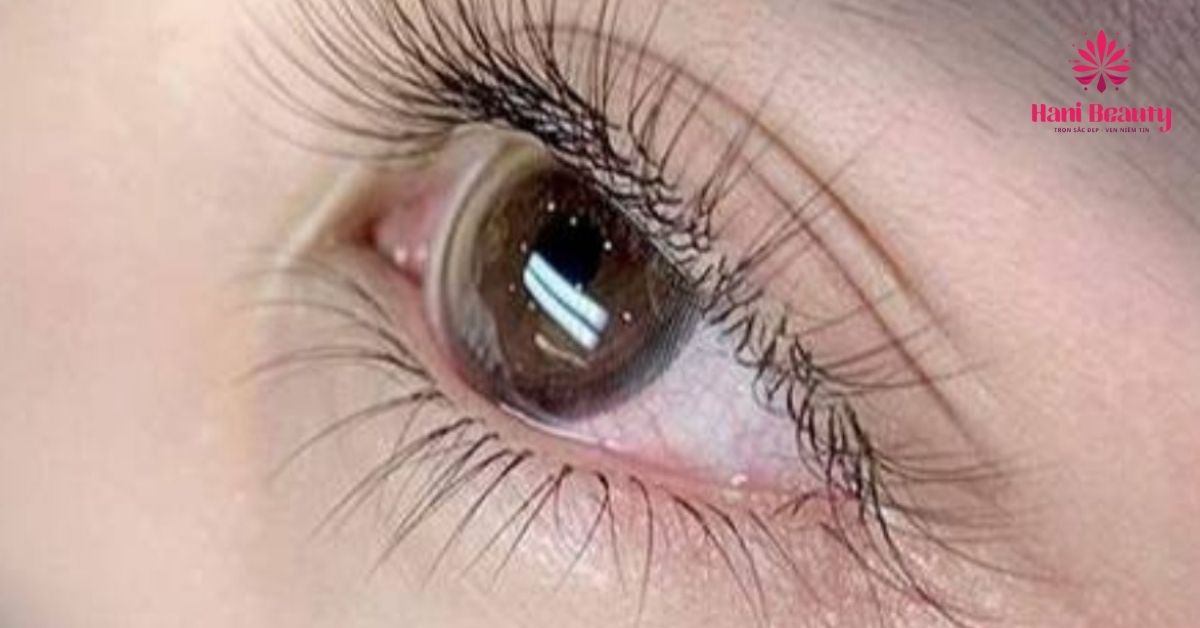 Nối mi Classic hoàn toàn không gây nặng mắt, đảm bảo tự nhiên đến không ngờ