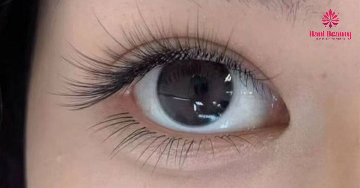 Nối mi cao cấp đảm bảo sự an toàn cho mắt