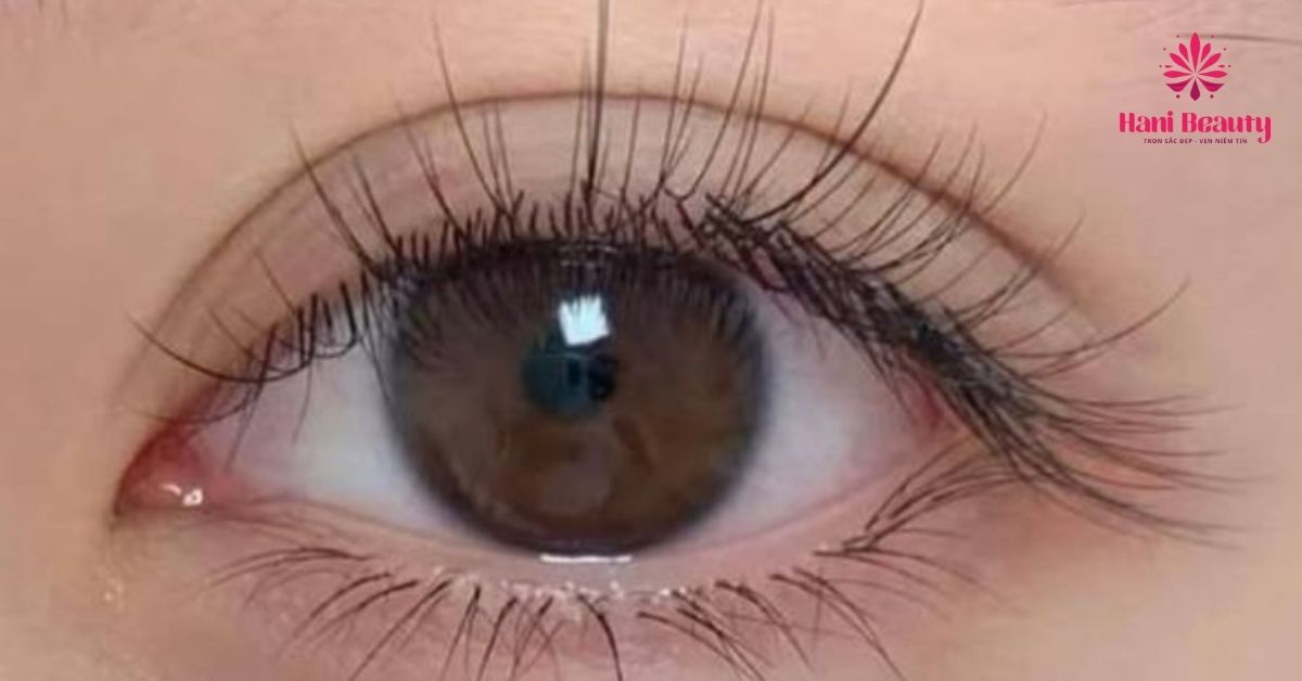 Muốn trải nghiệm quy trình an toàn tại Hani Beauty chị em nên đặt lịch trước