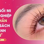Dịch Vụ Nối Mi Chuyên Nghiệp Thiên Thần: 5 Chính Sách Ưu Đãi - Bảo Hành Hấp Dẫn 12 Dịch Vụ Nối Mi Chuyên Nghiệp Thiên Thần: 5 Chính Sách Ưu Đãi - Bảo Hành Hấp Dẫn