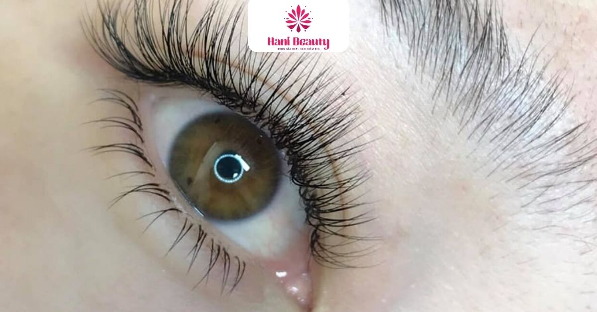 Dịch Vụ Nối Mi Giá Rẻ 3D: 5 Ưu Đãi "Hot" Tại Hani Beauty 12 Giá dịch vụ nối mi giá rẻ 3D từ 250K, phù hợp túi tiền và đa dạng phong cách