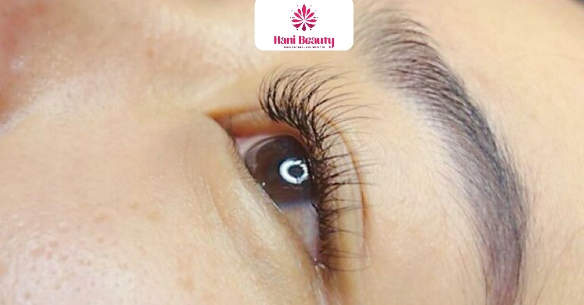 Dịch Vụ Nối Mi Giá Rẻ 3D: 5 Ưu Đãi "Hot" Tại Hani Beauty 14 Dịch vụ nối mi giá rẻ 3D tại Hani Beauty giúp hàng mi dày tự nhiên và cuốn hút