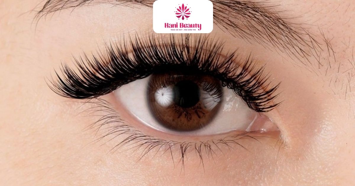Dịch Vụ Nối Mi Giá Rẻ 3D: 5 Ưu Đãi "Hot" Tại Hani Beauty 15 Combo “Nails + Mi + Gội đầu thư giãn” ưu đãi chỉ từ 379K - siêu hời