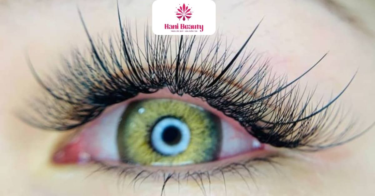 Dịch Vụ Nối Mi Giá Rẻ 3D: 5 Ưu Đãi "Hot" Tại Hani Beauty 16 Kết quả dịch vụ nối mi giá rẻ 3D: hàng mi cong, dày và ánh nhìn tự nhiên hoàn hảo