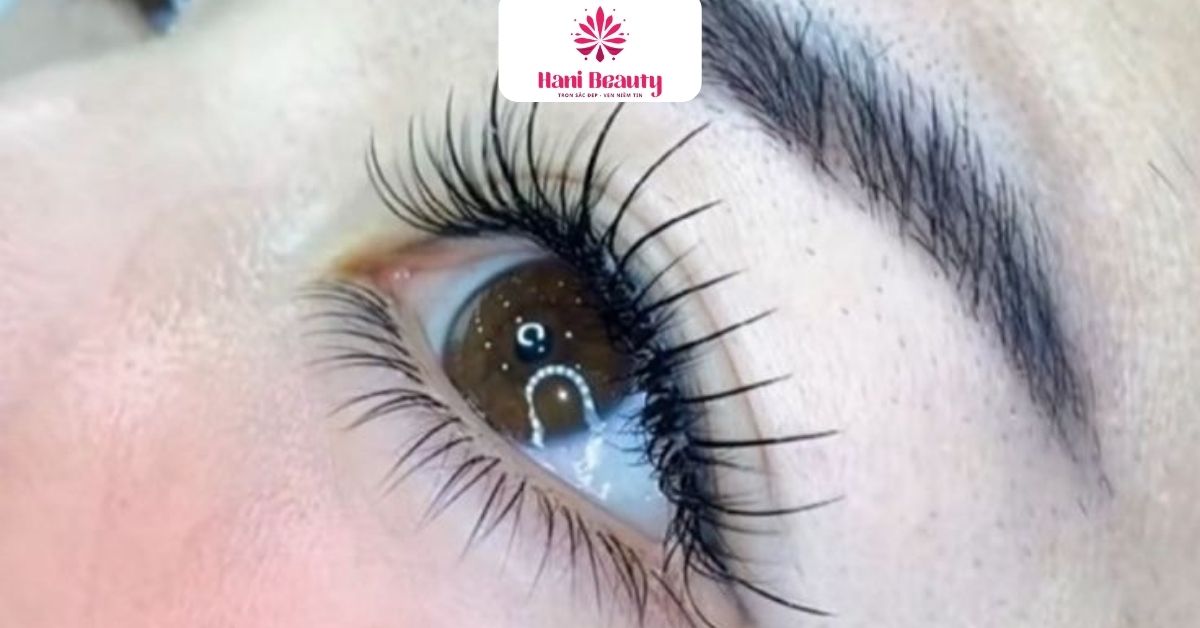 Dịch Vụ Nối Mi Giá Rẻ 3D: 5 Ưu Đãi "Hot" Tại Hani Beauty 17 Dịch vụ nối mi giá rẻ 3D an toàn tuyệt đối, chuẩn Spa quốc tế