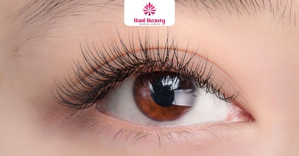 Dịch Vụ Nối Mi Giá Rẻ 3D: 5 Ưu Đãi "Hot" Tại Hani Beauty 18 Chuyên viên sẽ hướng dẫn khách hàng chăm sóc mi hiệu quả sau khi làm dịch vụ nối mi giá rẻ 3D