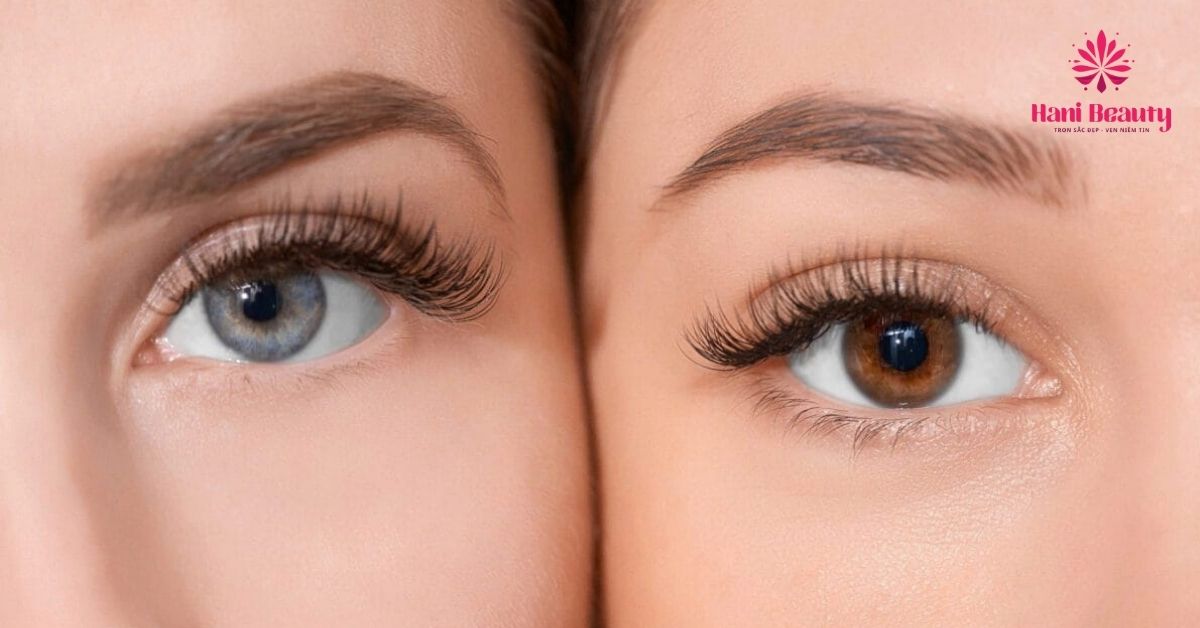 Dịch vụ nối mi cao cấp Cat Eye mang đến đôi mắt Mèo quyến rũ, "hút hồn" người đối diện